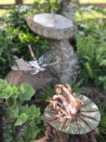 g, Frog and Dragonfly.jpg